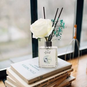 4SCENT Reed Diffuser Set 6.7 fl oz with Preserved Gypsophila