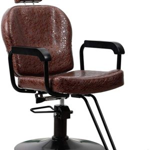 All Purpose Salon Barber Chair Brown Color with Titling Function