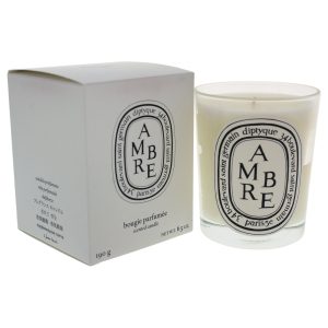 Ambre (Amber) Mini Candle 70 g by Diptyque