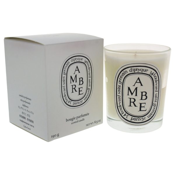 Ambre (Amber) Mini Candle 70 g by Diptyque