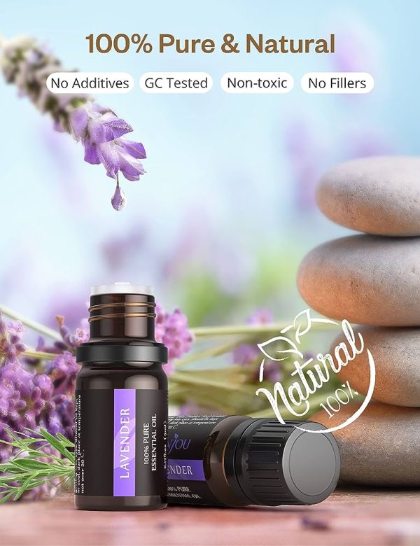 AOSNO Essential Oil Top 12*5ml Pure Aromatherapy