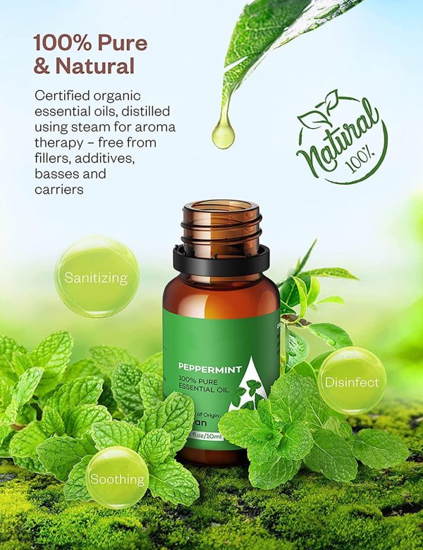 AOSNO Essential Oils 6pc Gift Set