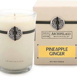 Archipelago Botanicals Pineapple Ginger Soy Candle