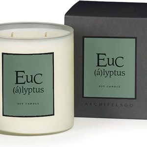 Archipelago Eucalyptus Soy Candle