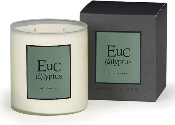 Archipelago Eucalyptus Soy Candle