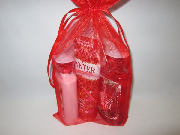 Bath and Body Works WINTER CANDY APPLE Holiday Traditions Cosmetic Bag