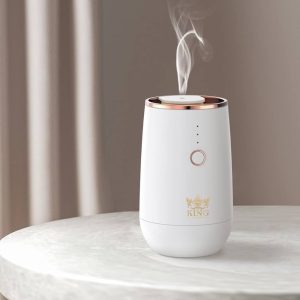 Battery Powered Car Diffusers for Essential Oils