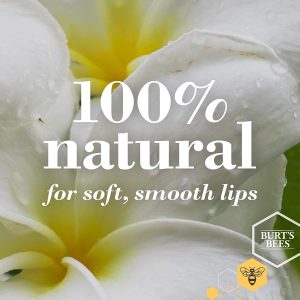 Burt's Bees 100% Natural Moisturizing Lip Balm, Multipack - Original Beeswax