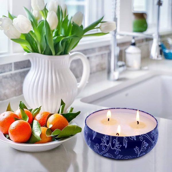 Citronella Candles Outdoor Indoor Portable Travel tin 2 Pack Gift Set