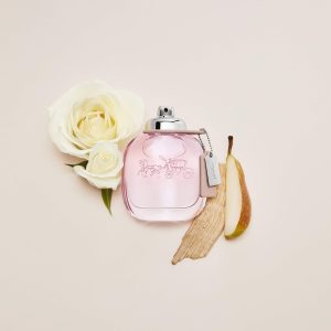 Coach Signature Eau de Parfum 3.0oz Spray