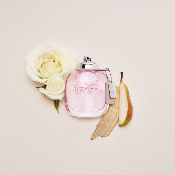 Coach Signature Eau de Parfum 3.0oz Spray