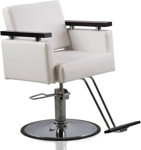 Danyel Beauty Professonal Hydraulic Barber Chair Salon Beauty Spa