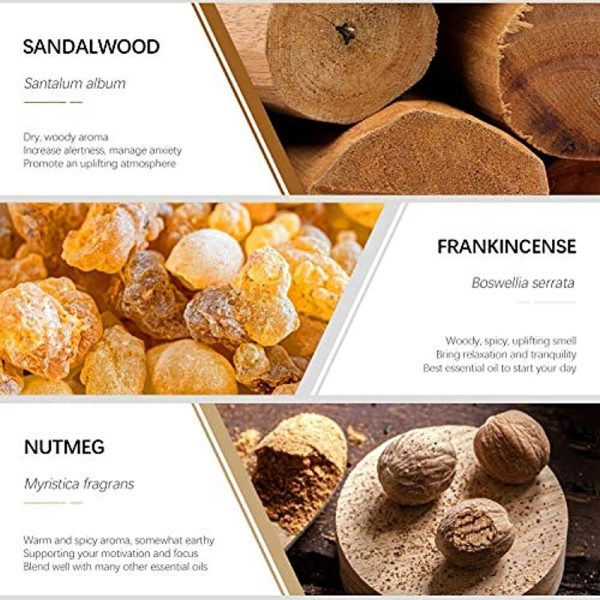 ESSLUX Men Scents Collection and Woody Collection