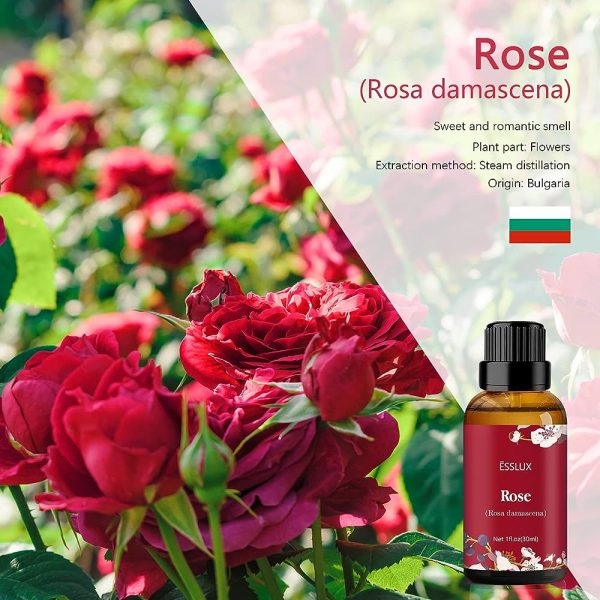 ESSLUX Rose Essential Oil and Rose Collection