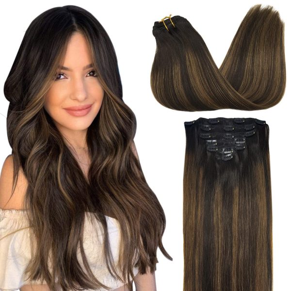 GOO GOO Remy Hair Extensions Clip in Human Hair Extensions Ombre Dark Brown