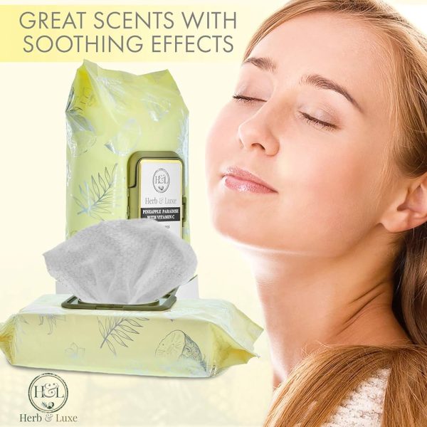 Herb & Luxe Face Wipes, Flip-Top Makeup Remover Facial Cleansing Wipes