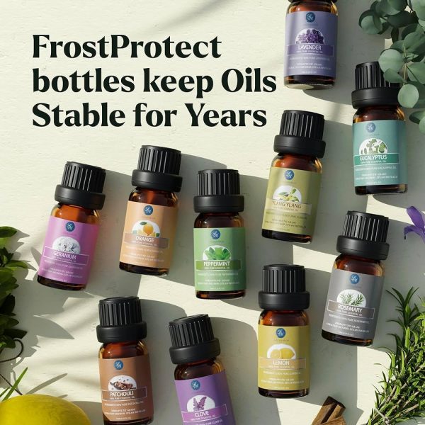 Lagunamoon Essential Oils Top 10 Gift Set Pure Essential Oils