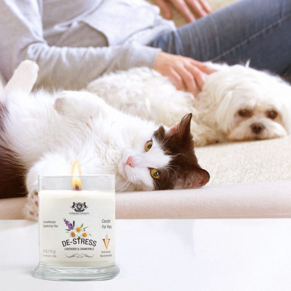 Lavender & Chamomile Aromatherapy Deodorizing Soy Candle for Pets