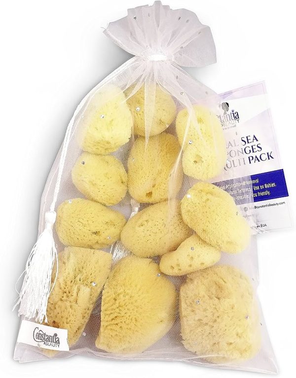Natural Sea Silk Sponges 12pk: Size 1.5"-3" like Cotton Balls