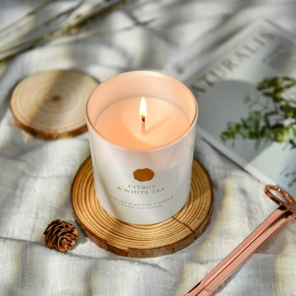 NEWIND Citrus & White Tea Aromatherapy Candles Gift