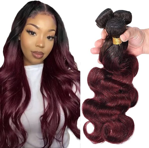 Ombre Wine Red Bundle 99j Body Wave Hair Bundle Brazilian Virgin Human Hair