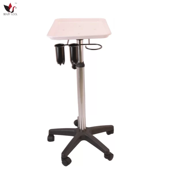 Salon Tray-Salon Service Tray-Mayo Stand-Hair Color Organizer for Salons