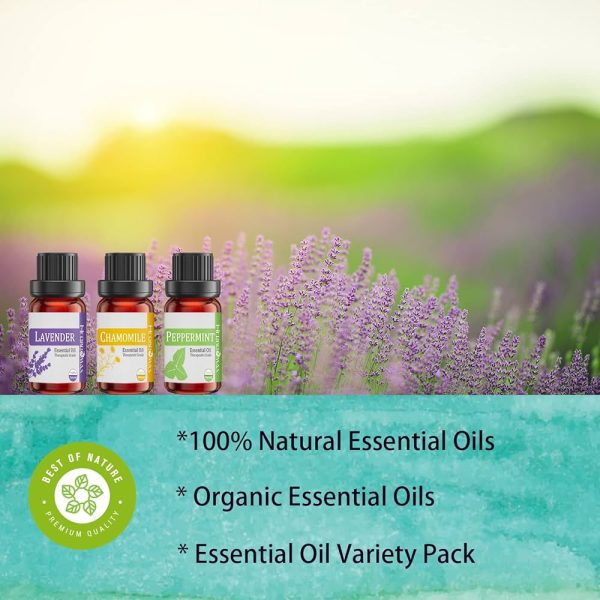 Top 16 Natural Aromatherapy Essential Oils for Candle Making