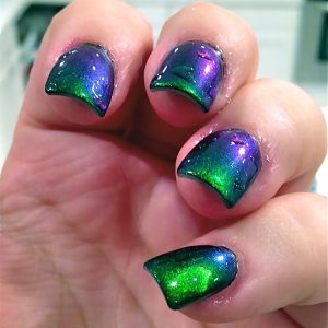 Tweets Finger Nail Polish Color Lacquer Collection Set