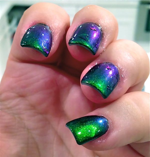 Tweets Finger Nail Polish Color Lacquer Collection Set