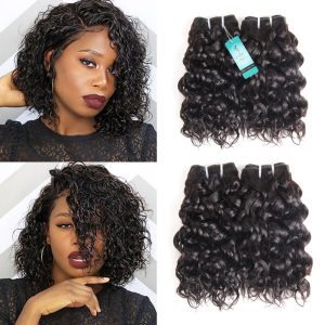 Water Wave Human Hair Bundles with Closure, UDU Malaysian Ocean Wave Wet