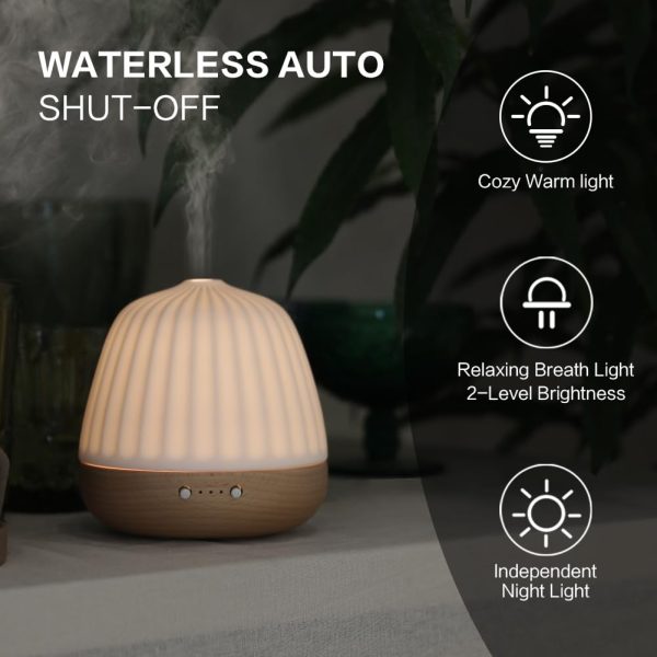 ZEIGGA LAB Essential Oil Diffuser Ultrasonic Cool Mist Humidifier