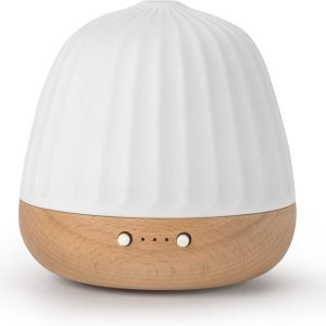 ZEIGGA LAB Essential Oil Diffusers for Large Room