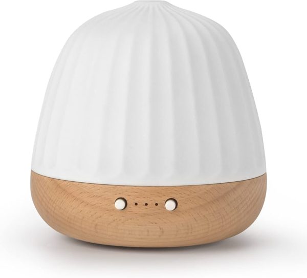 ZEIGGA LAB Essential Oil Diffusers for Large Room